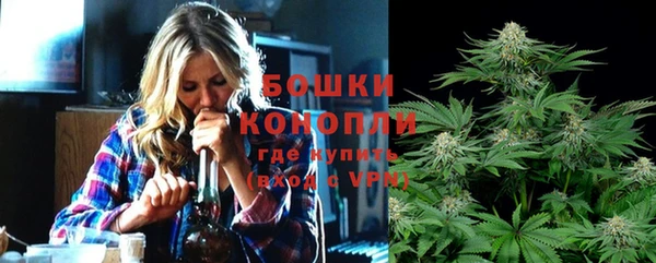 Альфа ПВП Дмитровск