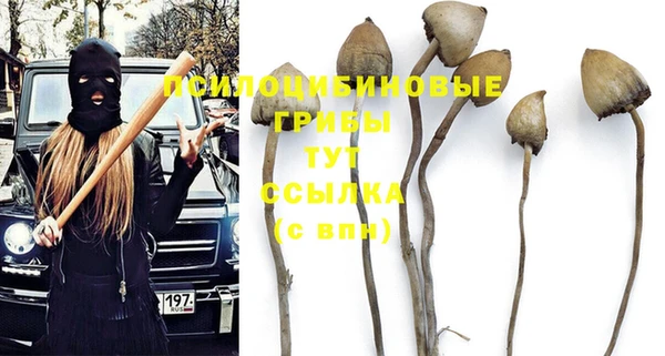 Альфа ПВП Дмитровск