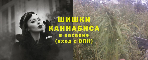 Альфа ПВП Дмитровск